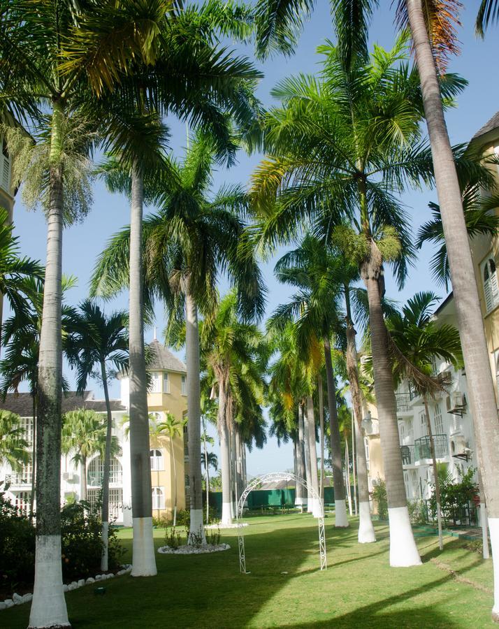 Sandcastles Beach Resort Ocho Rios Kültér fotó